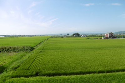 【展望】 | コートハウス松原