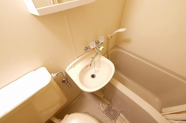 シャトー・ドゥ・クリヨンの洗面所|洗面所です