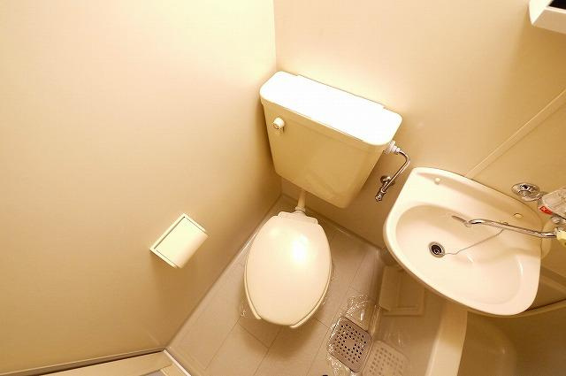 シャトー・ドゥ・クリヨンのトイレ|トイレです