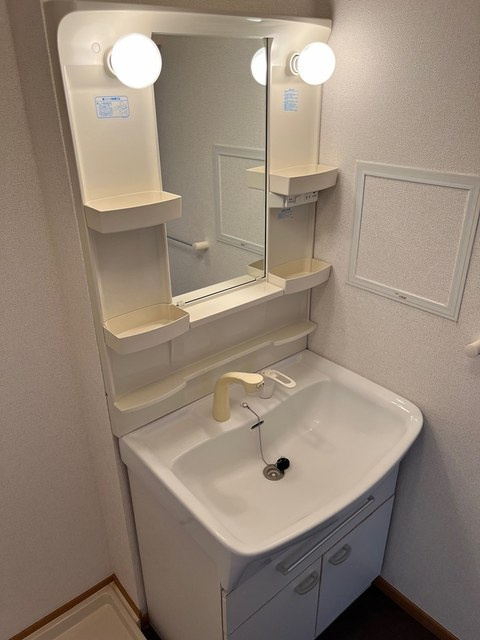 ブライド・ハウスAの洗面所