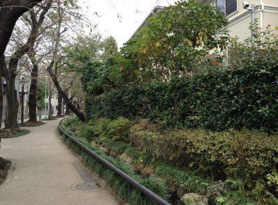 【周辺】 | 渡辺邸賃貸住宅(下北沢賃貸一戸建て) | 水と緑と自然豊かな代田川緑道