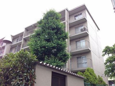 【外観】 | 鷺沼ガーデニアA棟 | 5階部分最上階・南向きにつき採光・通風良好です♪