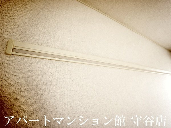 カポリーネアⅠのその他