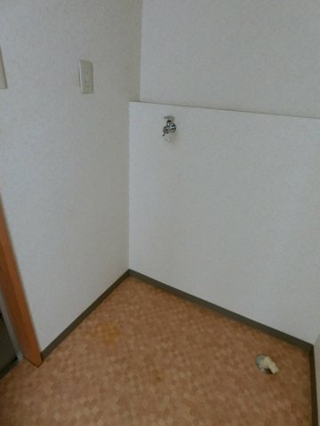 スカイハイツの洗面所