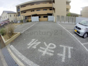 ミレニアムコートの画像