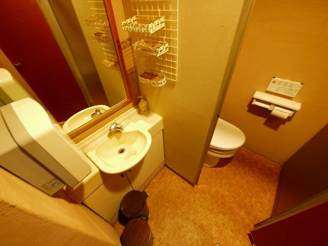 天理駅前第2ビルの洗面所