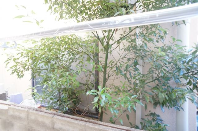 ONLYONE宝塚山本Ⅰの展望