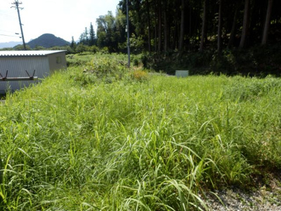 【外観】 | 春日町平松２５０万