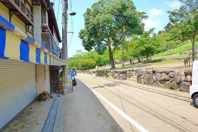 若草山店舗の周辺