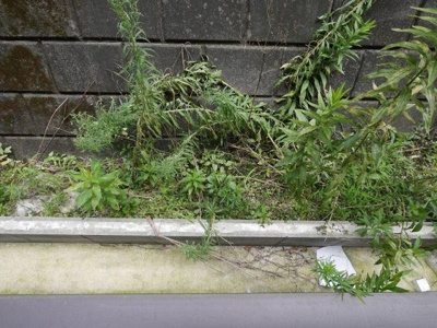 【展望】 | ＰＯＬＬＵＸ戸塚 | 居室からの眺望