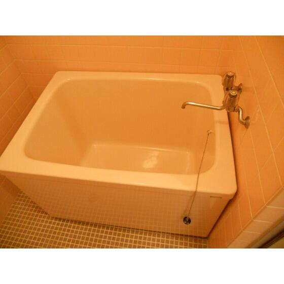 ダイヤモンドレジデンス南小岩の浴室