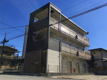 クレイノアナベルの画像