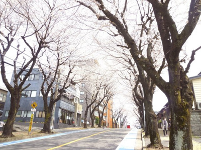 【周辺】 | 富士見ハイツ | 駅をおりたら桜並木を通って徒歩６分！