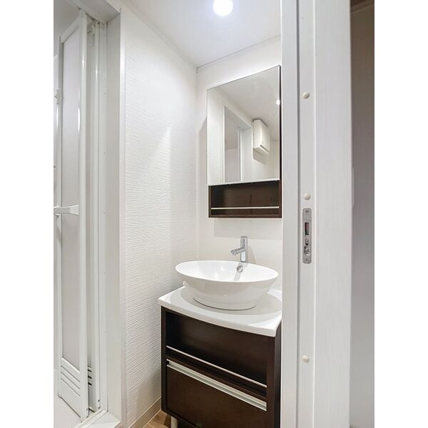 ヒューマンスクエア大館町の独立洗面台