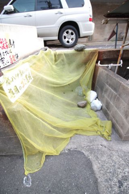 【その他共用部分】 | 都ハイツ | ゴミ置き場