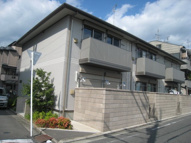 メープルの画像