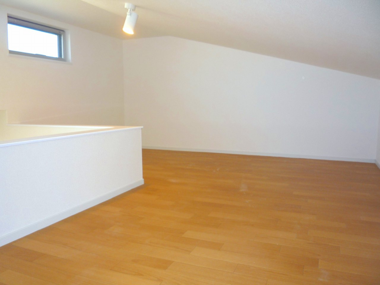 コンソラータのその他