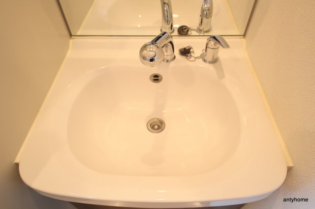 プレサンス天神橋ディオレ　仲介手数料無料の洗面所