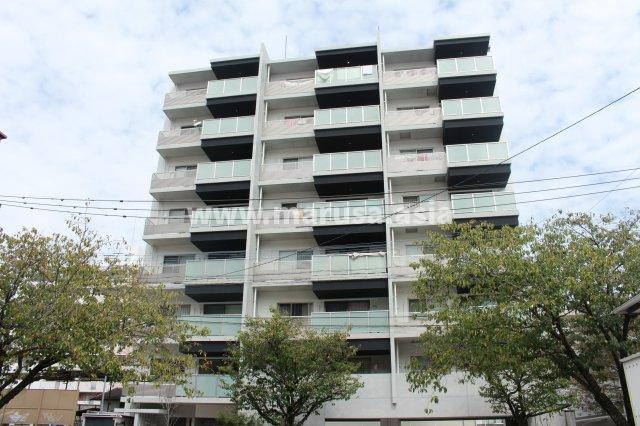 宮崎市老松２丁目の賃貸マンションの外観