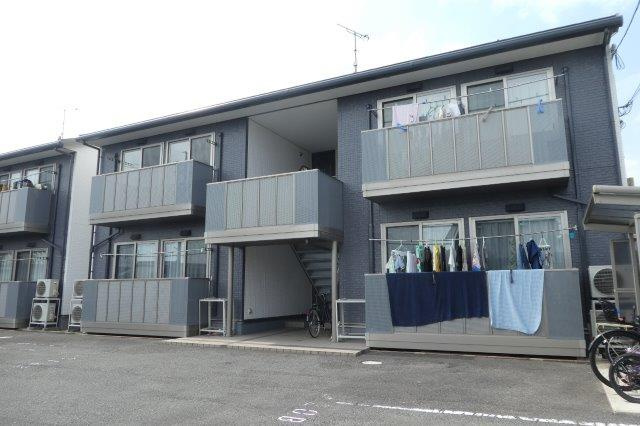 エバーグリーンオークＢ