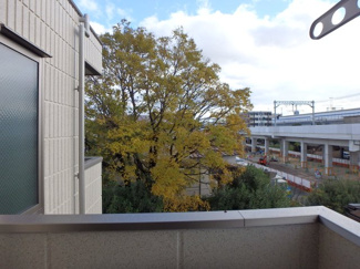 【展望】 | ショコラ甲子園