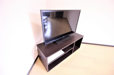 【設備】 | レオネクスト国分サンシャインⅡ | テレビ