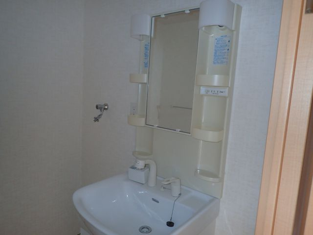 ルーミー寺本2号館の独立洗面台