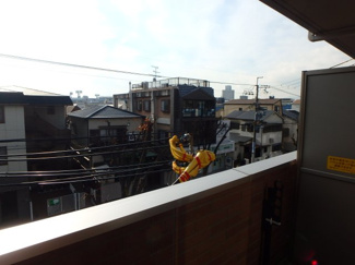 【展望】 | COPIA LIBERTE