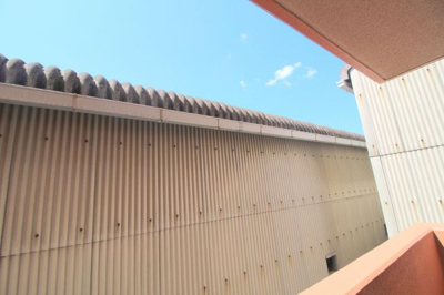 【展望】 | 21世紀ペガサスⅢ