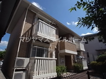 パーシモンの画像