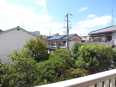 【展望】 | パーシモン