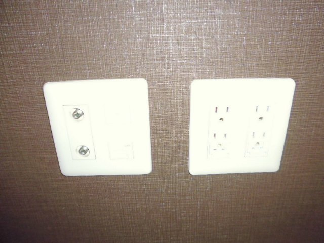 Ｐａｌｏ　Ｓａｎｔｏ　Eのその他