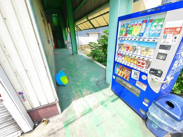 ペーパーハウスのエントランス