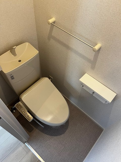 サングランスのトイレ