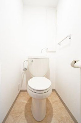 【トイレ】 | Ｌａｐｙｕｔａ（ラピュータ） | Ｌａｐｙｕｔａ　水天宮前・人形町周辺の高級賃貸は人形町不動産本店へ！