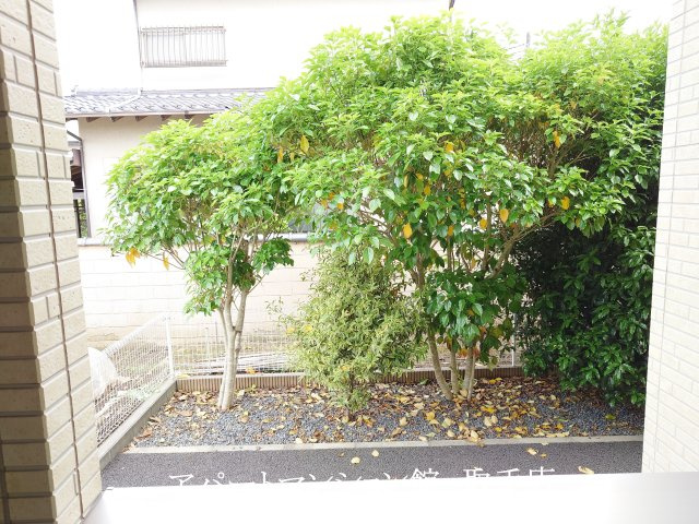 Green CalmⅣの展望
