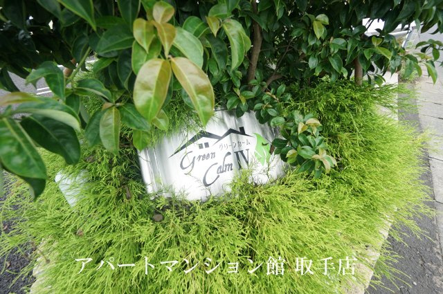Green CalmⅣのその他