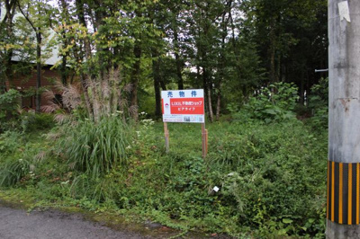 【外観】 | 高島市マキノ町大沼516-7 売土地 | 敷地外観