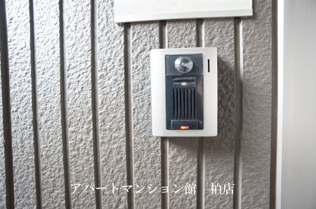 オアシスのセキュリティ