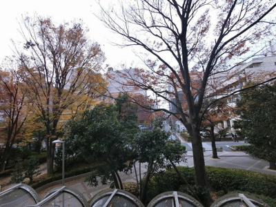 【展望】 | パークシティ溝口Ａ棟 | 2階部分からの眺望