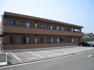 チェリッシュの画像