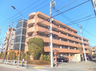 Fragrant Oliveの画像