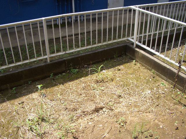 エクセル東船橋Ｃ棟のバルコニー|閑静な住宅街です。