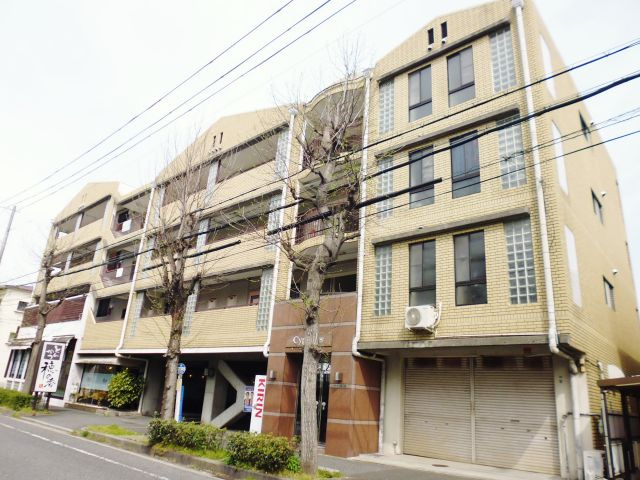 サイプレスの外観|サイプレス