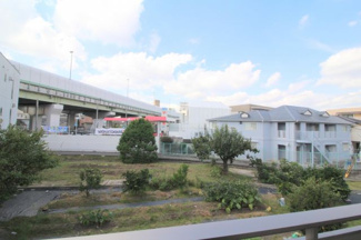 【展望】 | ジプソフィラ