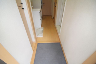 【玄関】 | ジプソフィラ