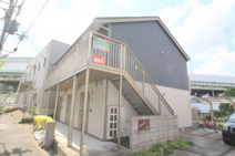 ジプソフィラの画像