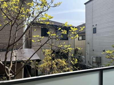 【展望】 | ＭＡＧＮＯＬＩＡ