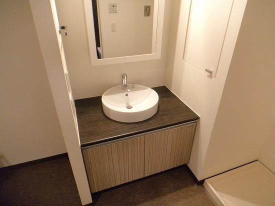 プライムメゾン鴨々川の洗面所