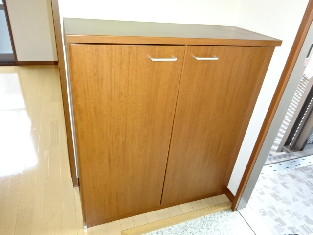 ＮＥＯクラレッドシティＡの内装|シューズボックス